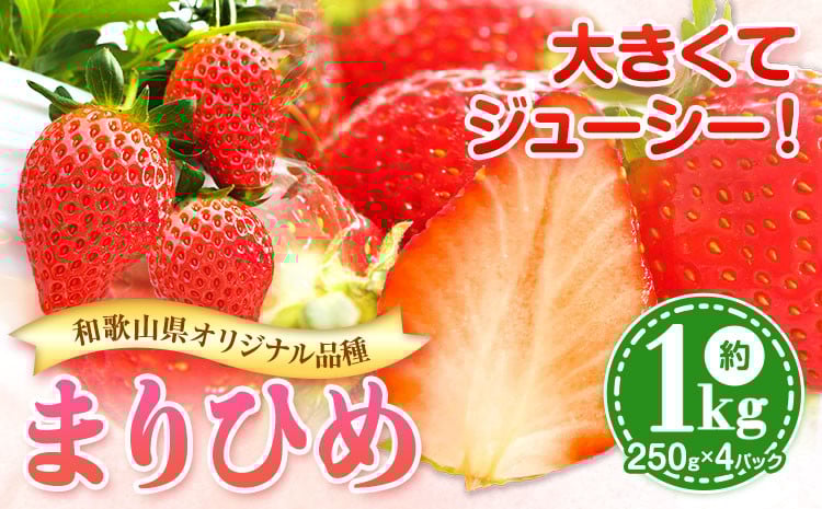 
            まりひめ いちご 約1kg 250g×4パック 岸武青果株式会社《2026年1月上旬-3月頃出荷》 和歌山県 紀の川市 1kg 送料無料
          