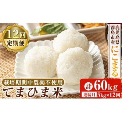 ふるさと納税 霧島市  12回定期《令和7年産》てまひま米(品種:にこまる) (計60kg)【末蜜農園】K-198-G