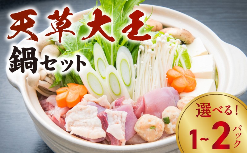 
                  S011-014A-sku_天草大王鍋セット(天草大王鶏肉・天草大王濃縮スープ・天草大王つみれ等)
                