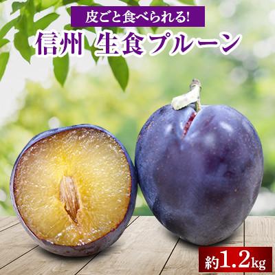 ふるさと納税 長野市 【2026年先行受付】生食用プルーン約1.2kg入り　【沖縄 離島 北海道 配送不可】