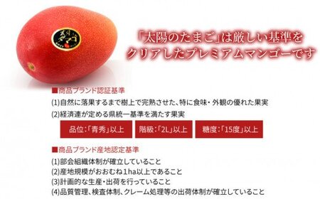 太陽のタマゴ マンゴー 太陽のタマゴ 期間限定[数量限定 《2026年発送》 宮崎県産完熟マンゴー A3L(2玉入り)]