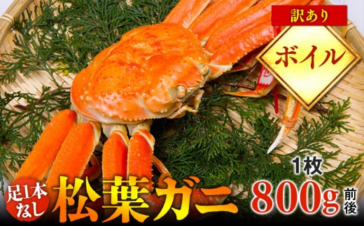 【ボイル】足1本なし　訳あり　松葉ガニ　大1枚（800g前後）【着日指定不可】※2025年11月上旬～2026年3月下旬頃に順次発送予定《かに カニ 蟹》【蟹 かに 松葉ガニ 松葉蟹 鳥取県産 国産 松葉ガニ 北栄町 おすすめ 人気】