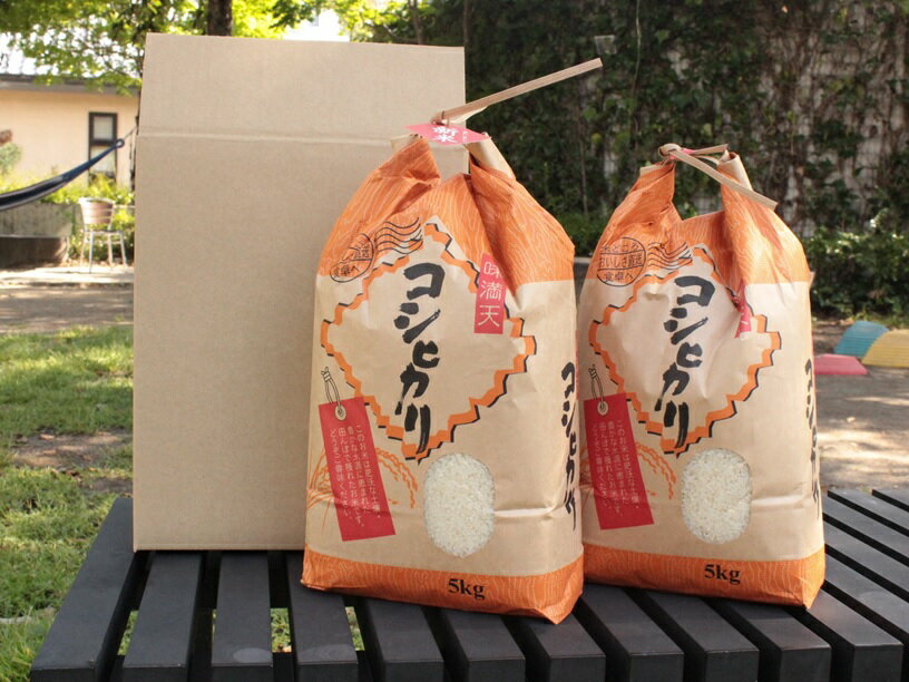 【ふるさと納税】令和7年産 郡上産こしひかり 5kg 10kg 内容量選べる / 食品 米 精米 白米 コシヒカリ お米 コメ こめ 米[G0154]
