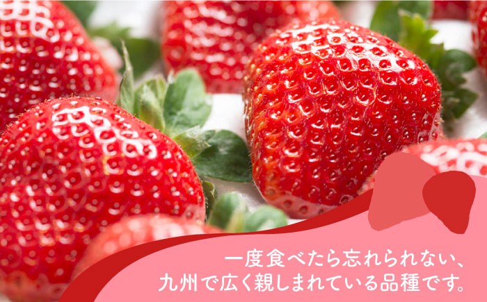 【12月上旬より発送】福岡産 あまおう ギフト箱（12-15粒）＜南国フルーツ株式会社＞那珂川市 [GCD013]