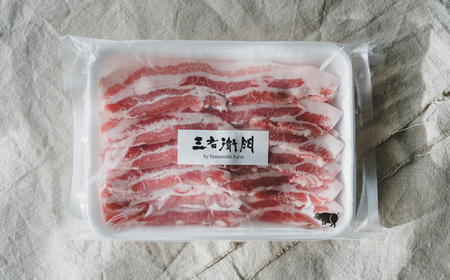 No.226 【定期便3回】山西牧場　ぶたづくしセット