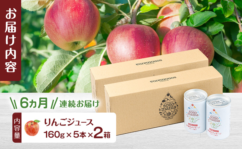 《 定期便 6ヵ月 》 りんごジュース「sonomama」（160g×5本）×2箱 りんご リンゴ ジュース リンゴジュース 飲料