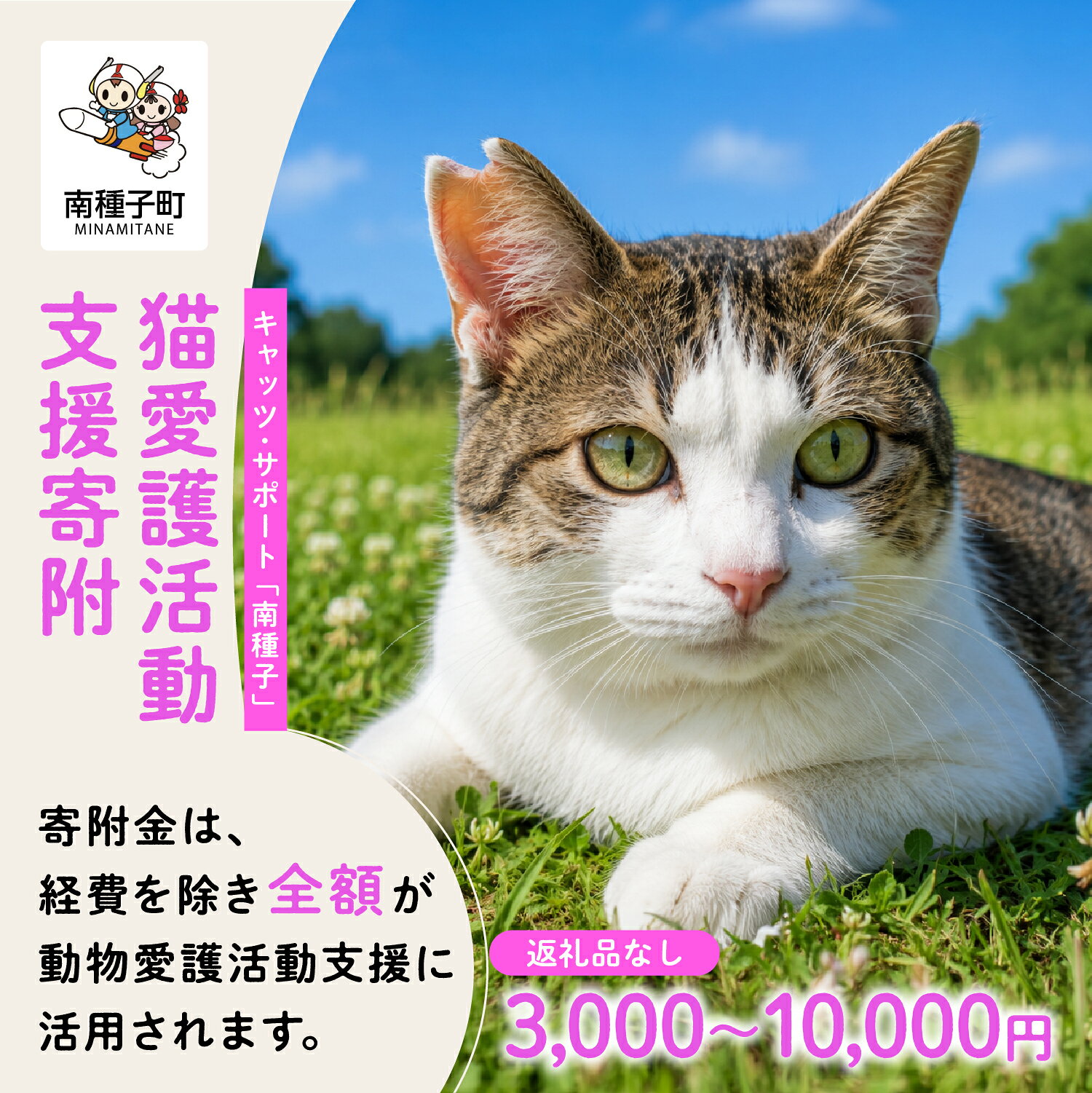 【ふるさと納税】《返礼品なし》 猫愛護活動支援 3,000円〜10,000円 猫ちゃん 猫 ねこ 動物 保護 愛護 保護活動 応援 支援 寄付 南種子町 鹿児島 かごしま 送料無料 【南種子町猫の適正飼養を推進する会】
