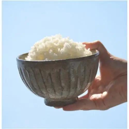 栽培期間中農薬・化学肥料不使用　こしひかり　白米 5kg×1袋(5kg)【1735134】