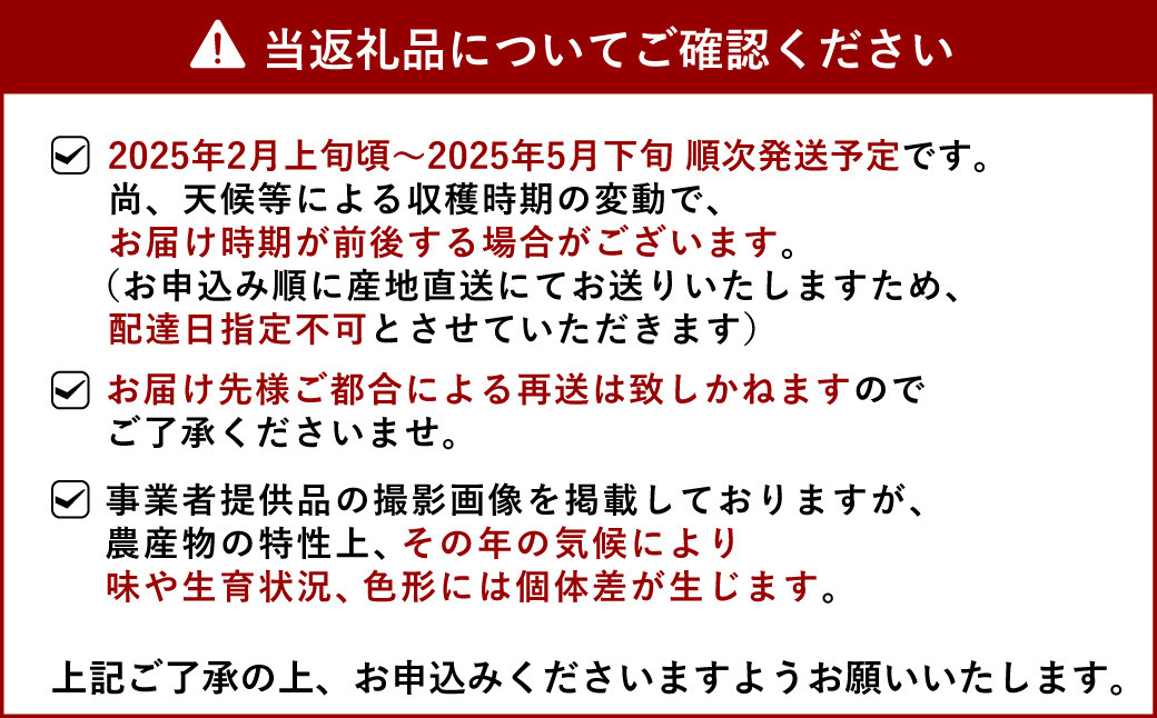 【先行受付】訳あり はるか 約5kg（22玉～27玉）【吉田レモニー】