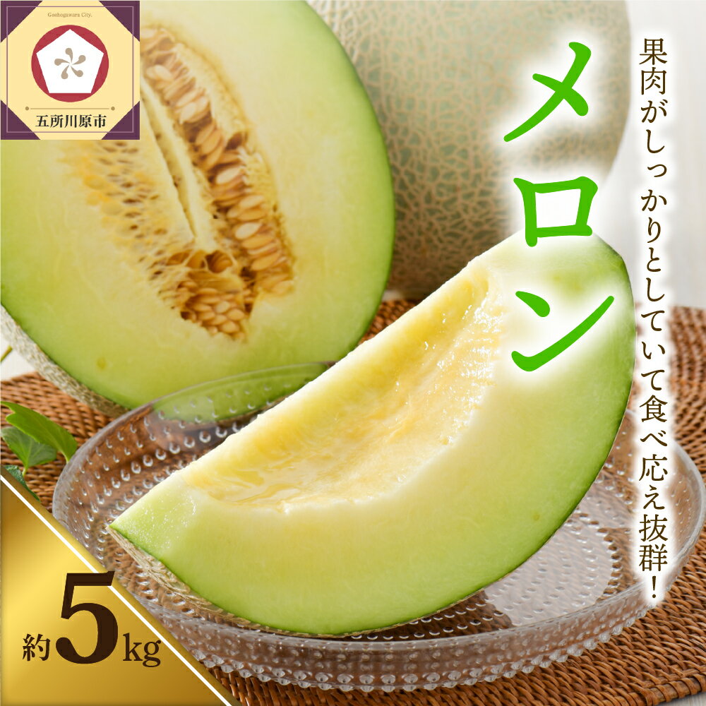 【ふるさと納税】【2025年先行予約】【選べる配送時期】メロン5kg程度(緑肉4～6玉)津軽産