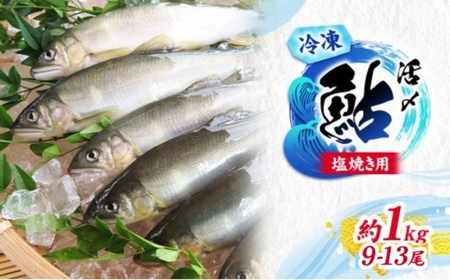 【先行予約】塩焼用 活〆冷凍あゆ 約1kg（9尾～13尾）| 鮎※北海道・沖縄・離島への配送不可 ※2026年7月上旬～9月中旬頃に順次発送予定