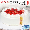 【ふるさと納税】いちご 生デコレーションケーキ 5号 冷凍 ケーキ イチゴ 苺 スイーツ 誕生日 バースデーケーキ 誕生日ケーキ ホールケーキ パーティー イベント