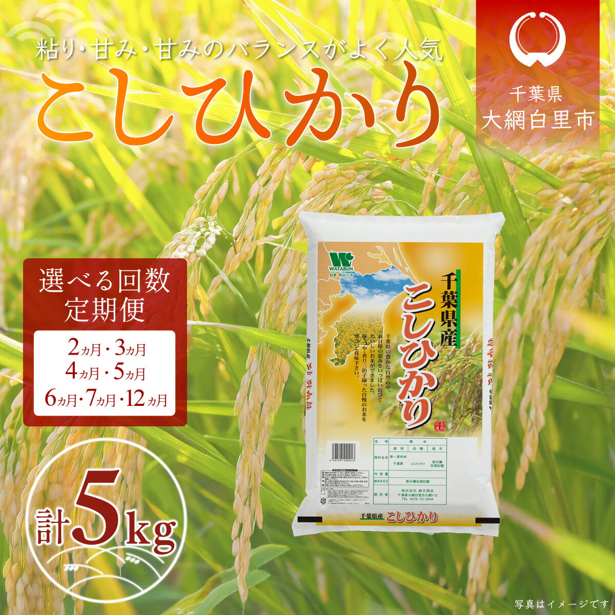 【ふるさと納税】令和7年産 千葉県産「コシヒカリ」5kg 選べる配送回数 2回 / 3回 / 4回 / 5回 / 6回 / 7回 / 12回 ふるさと納税 米 定期便 5kg コシヒカリ 千葉県 大網白里市 送料無料
