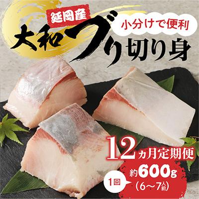 ふるさと納税 延岡市 【毎月定期便】大和ブリの切り身　約600g 全12回
