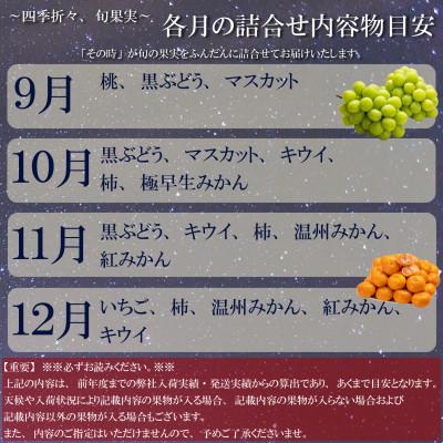 ふるさと納税 高松市 【毎月定期便】旬を見極めた、厳選フルーツ詰合せ定期便【満足コース】(3〜5品種)全4回 |  | 03