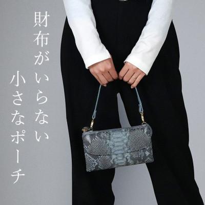 ふるさと納税 箕面市 Costoroma　財布の要らないパイソン革ポーチウォレット　ブルーグレー