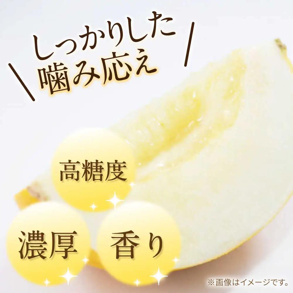 【2027年5月-発送】メロン イエローキング 3箱（1箱 3-6玉） / メロン めろん フルーツ 果物 / 南島原市 / 南島原果物屋[SCV041]