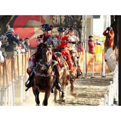 【ふるさと納税】【10/18(土)・十和田市中央公園】「第11回世界流鏑馬選手権」観覧チケット1枚1名様【1657636】