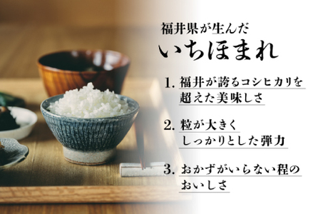 【定期便】（3ヶ月連続お届け）令和5年産 いちほまれ　10kg×3回　計 30kg　