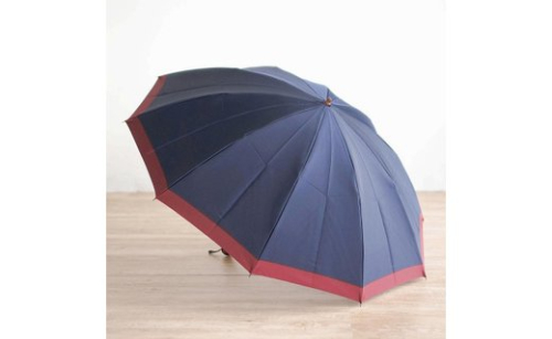 【数量限定】橘　折りたたみ傘　60cm　10本骨(ネイビー×レッド)