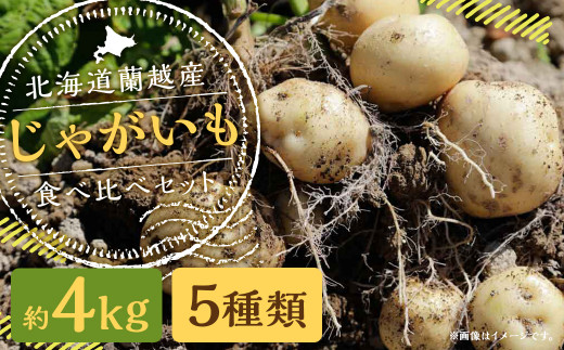 北海道 蘭越産 じゃがいも 食べ比べ 5種類セット 合計約4kg （各800g ）【2026年11月上旬~2027年4月上旬発送予定】