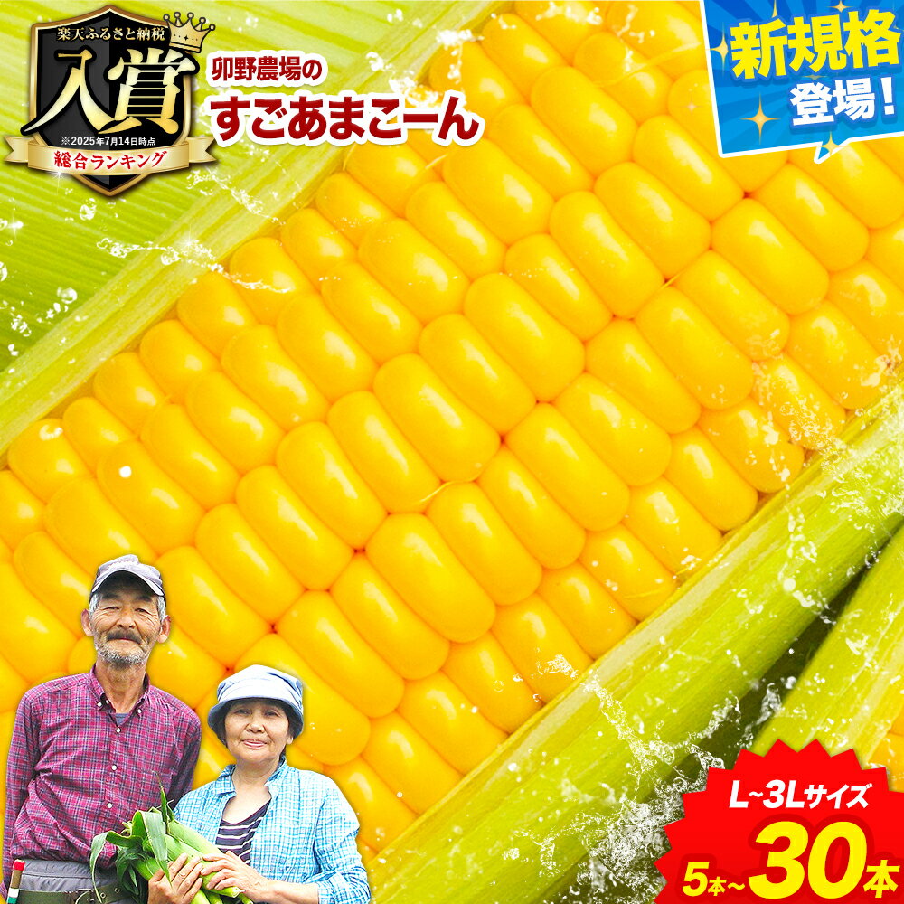 【ふるさと納税】【寄附額見直し】先行予約 ランキング 入賞 すごあまこーん とうもろこし 極甘 スイートコーン ゴールドラッシュ 恵味 5本 10本 20本 30本《7月中旬-8月上旬頃出荷》熊本県 産山村 野菜 コーン トウモロコシ コーンスープ 冷蔵 楽天スーパーSALE 送料無料