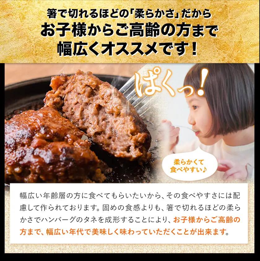 【ふるなびWEEK対象】ハンバーグ 140g 13個 熊本県産 あか牛 100% 生ハンバーグ