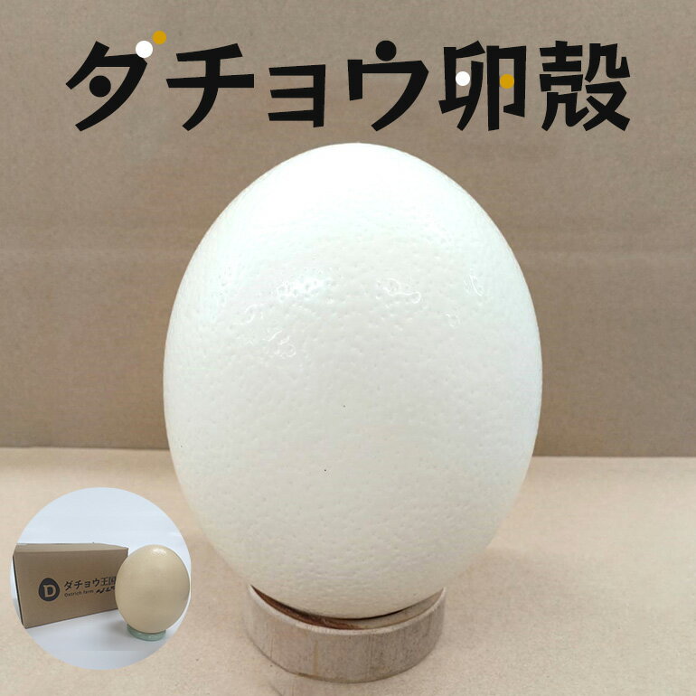 【ふるさと納税】 ダチョウ卵殻 エッグアート 工作 ダチョウ 卵殻 たまご殻 卵から 卵の殻 大きい ビッグ サイズ ダチョウ王国 アート 手芸 作品 自由研究 茨城県 石岡市 (C05-019)
