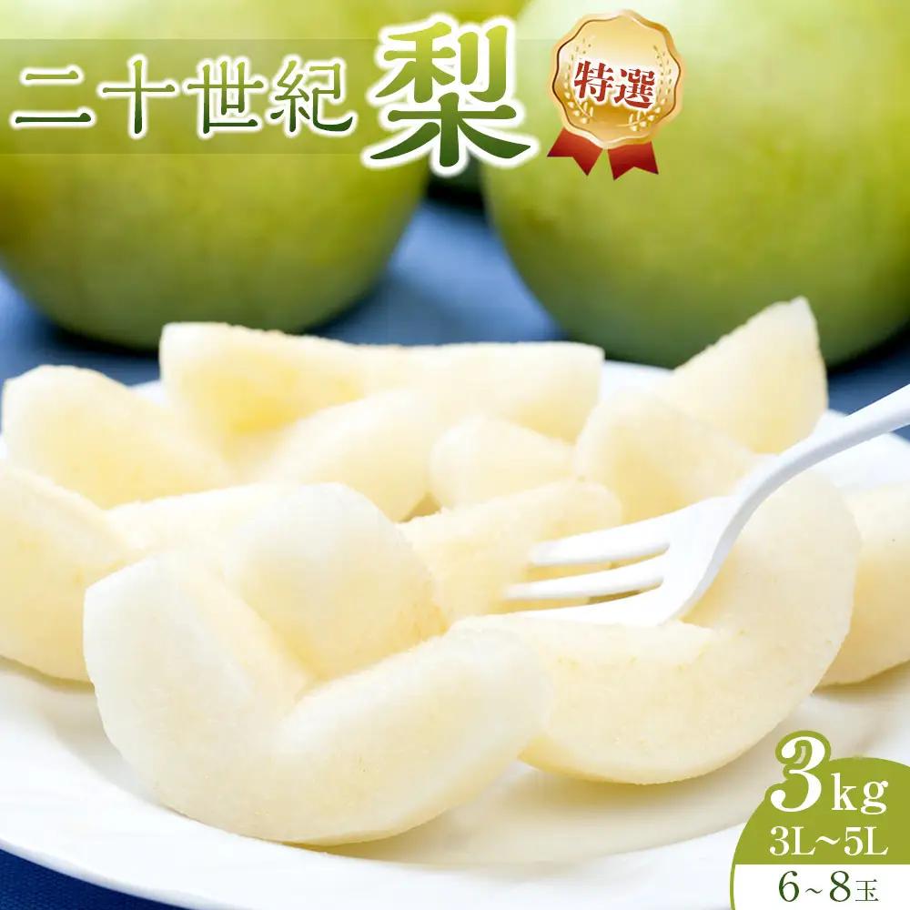 【先行予約】二十世紀梨 特選 3kg 3Ｌ～5Ｌ 6～8玉前後 ※2026年8月下旬～9月下旬頃に順次発送予定 梨
