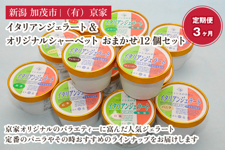 【定期便3ヶ月毎月お届け】京家のイタリアンジェラート&オリジナルシャーベット おまかせ12個セット アイス アイスクリーム 氷菓 スイーツ ひんやり 有限会社京家 加茂市 