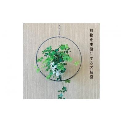ふるさと納税 幸田町 GRAVIRoN Hang Plants シリーズ Round　 黒皮鉄(プランツハンガー) |  | 01