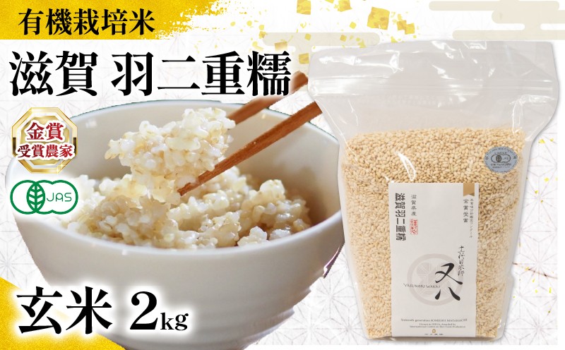 
                  【 オーガニック米 】 米 羽二重糯 玄米 2kg ( 令和8年産 先行予約 有機JAS 認証米 オーガニック米 有機栽培米 玄米 お米 十六代目米師又八 謹製 ブランド 米 rice ご飯 内祝い もちもち 国産 送料無料 滋賀県 竜王 ふるさと納税 )
                