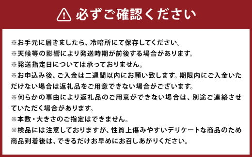 紅はるか 秀品 約5kg 芋 さつまいも サツマイモ べにはるか 野菜