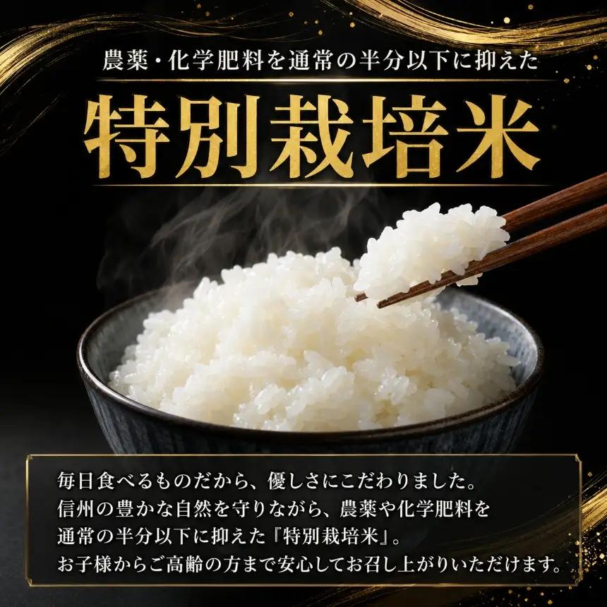 鈴音ひびく清らかな里で育ったお米 松川村ブランド米 鈴ひかり 特別栽培米 白米 10kg | 乳川の里
