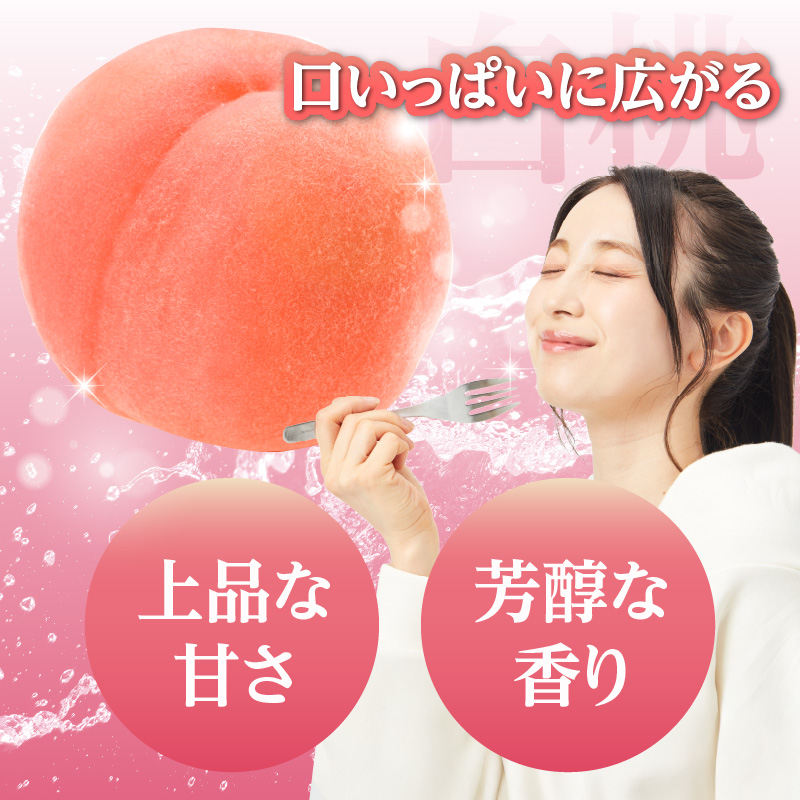 《先行受付》★山形産白桃『川中島白桃』★約3kg(6～12玉程度)秀品【2026年8月中旬頃～順次発送予定】