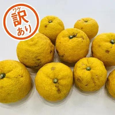 訳あり 柚子 5kg 訳あり ゆず 柚子 訳あり 柑橘 果物 訳あり 国産 ゆず 柚子 訳あり フルーツ 有名 訳あり 愛媛 ゆず 訳あり 柚子 みかん 訳あり 職人 武田屋 訳あり 蜜柑 ゆず 柚子