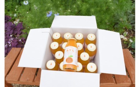 D064 まるごと秋穂育ち　みかんジュースセット（15本入り）