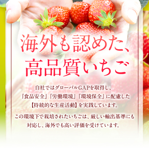 ベリーツ 250g前後 × 2パック ( 2月以降発送 ) | いちご ベリー フルーツ 果物 大分県 中津市