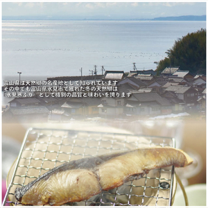 【氷見の天然寒ぶり】冬の味覚限定セット ＜2025年12月中旬以降発送＞  寒ぶり 限定 鰤 富山県 氷見市
