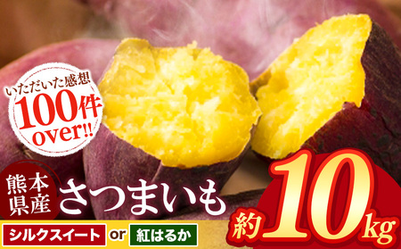 【 先行予約 】さつまいも 約 10kg シルクスイート or 紅はるか | 高評価 多数 ランキング 入賞 甘藷 蜜いも 秋の味覚 品種お任せ 訳あり 家庭用 サイズ不均一 小さめ キズ スレ 家庭用 期間限定 熊本県産 高糖度 芋  焼き芋 鍋 大学いも お菓子