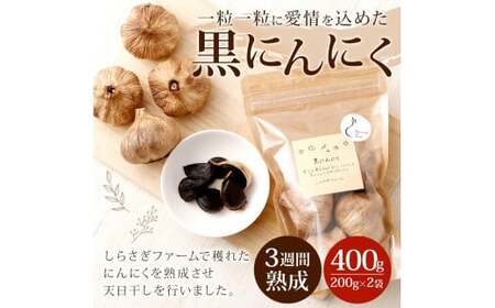 ＜ R8年熊本地震復興支援 ＞しらさぎファームの黒にんにく 400g