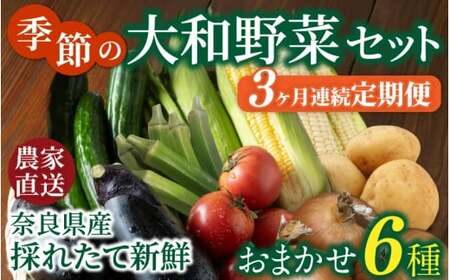 野菜 奈良県産 ※3ヶ月定期便※季節の大和野菜 おまかせ６種セット×3ヶ月 葛城市【smlk-tkb013】