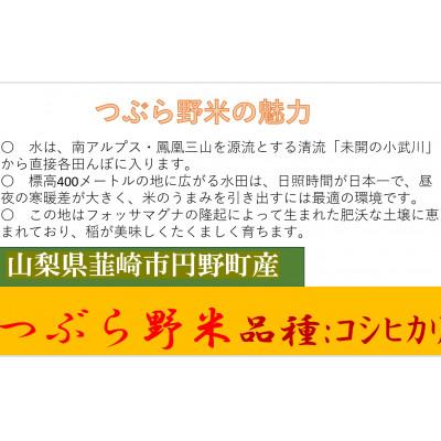 ふるさと納税 韮崎市 【毎月定期便】つぶら野米(品種:コシヒカリ)　白米6kg(3kg×2袋)　3ヶ月合計18kg　全3回 |  | 01