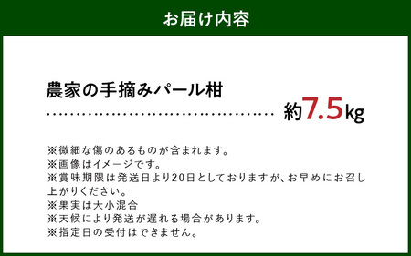 S040-022A_農家の手摘み パール柑 約7.5kg〈先行予約〉 先行予約 柑橘 約 7.5kg 天草産 果物 フルーツ 真珠 手摘み 固め 食感 食べ応え 果肉 上品 甘み おいしい おすすめ 
