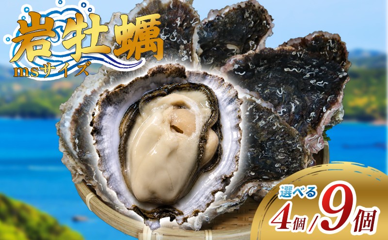 
                  【選べる容量】 岩牡蠣 カキ 4個 / 9個 三重産 カキ かき 加熱用 カキフライ 牡蠣鍋 蒸し牡蠣 カキ BBQ 浜焼き バーベキュー 新鮮 海鮮 魚介 国産 取り寄せ グルメ 料理 オイスター おつまみ お弁当 おかず 惣菜 グラタン バーベキュー ごはん 伊勢 志摩 三重県 南伊勢町 15000円 一万五千円 30000円 三万円
                