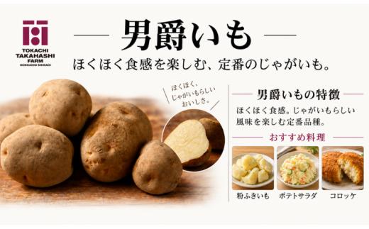 【期間限定】越冬じゃがいも　男爵いも　3kg 【ふるさと納税 人気 おすすめ ランキング おつまみ ジャガイモ じゃがいも 芋 いも じゃがバター コロッケ 野菜 北海道 鹿追町 送料無料】 SKAH