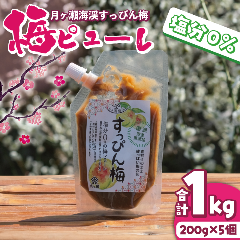 U-77 月ヶ瀬梅渓すっぴん梅塩分0パーセント梅ピューレ