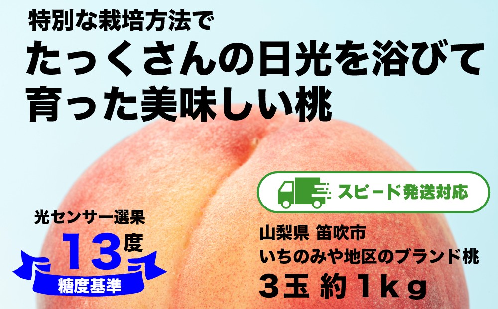 
                  2026年スピード配送対応【糖度13度基準】いちのみやの桃 3玉 約1kg＜扇状地・Y字栽培＞肥沃な大地と沢山の日光で育った桃【バイパス清果園】産地直送 山梨県 笛吹市 一宮 果物 フルーツ 新鮮 有機 国産 高級 美味しい 人気 おすすめ 贈答 ギフト  ピーチ もも モモ 数量限定 期間限定 206-028-oya
                