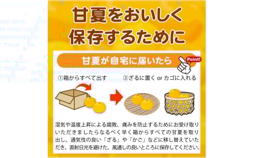 【ご家庭用訳あり】紀州有田産 すっきり爽やか 甘夏みかん 8kg  ※2026年3月上旬頃〜2026年3月下旬頃に順次発送予定 / 甘夏 あまなつ みかん ミカン 蜜柑 温州みかん 柑橘 フルーツ 果