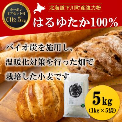 ふるさと納税 下川町 北海道下川町産はるゆたか100%(強力粉) バイオ炭施用 カーボン・オフセット付 5kg